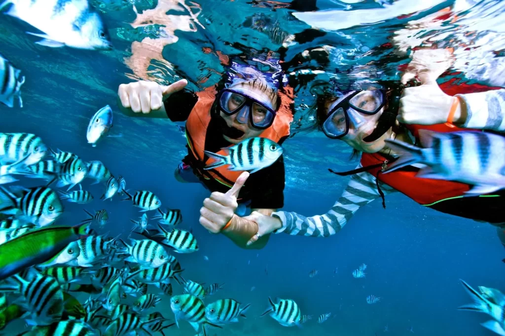 10 Hal Terbaik di Karimunjawa untuk Anda dan Keluarga