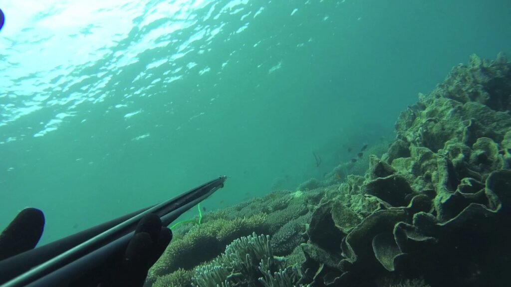 3 Hal Spesial yang Dapat Dilakukan di Karimun Jawa