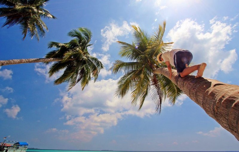 Jelajahi Surga Pulau Jawa di Kepulauan Karimunjawa