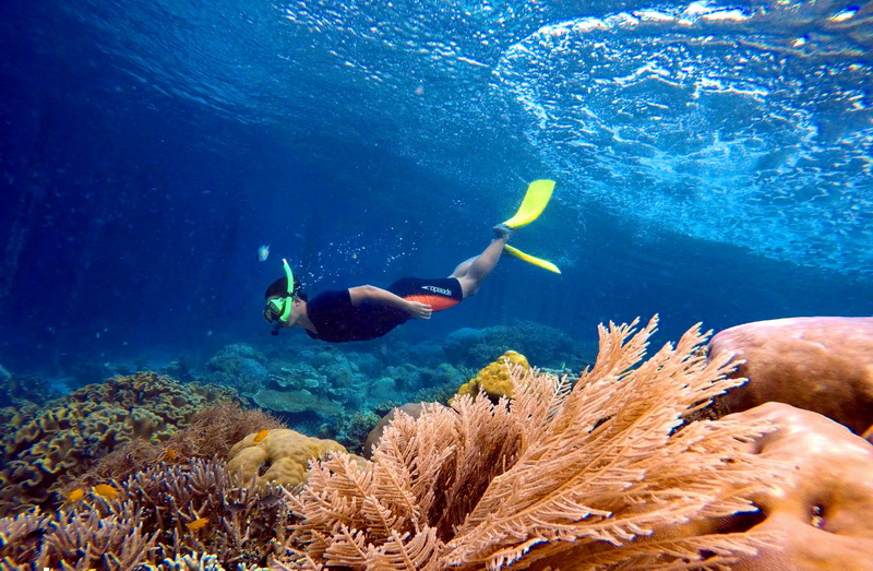 Kenali Pantai dan Spot Snorkeling Pulau Karimunjawa yang Menakjubkan