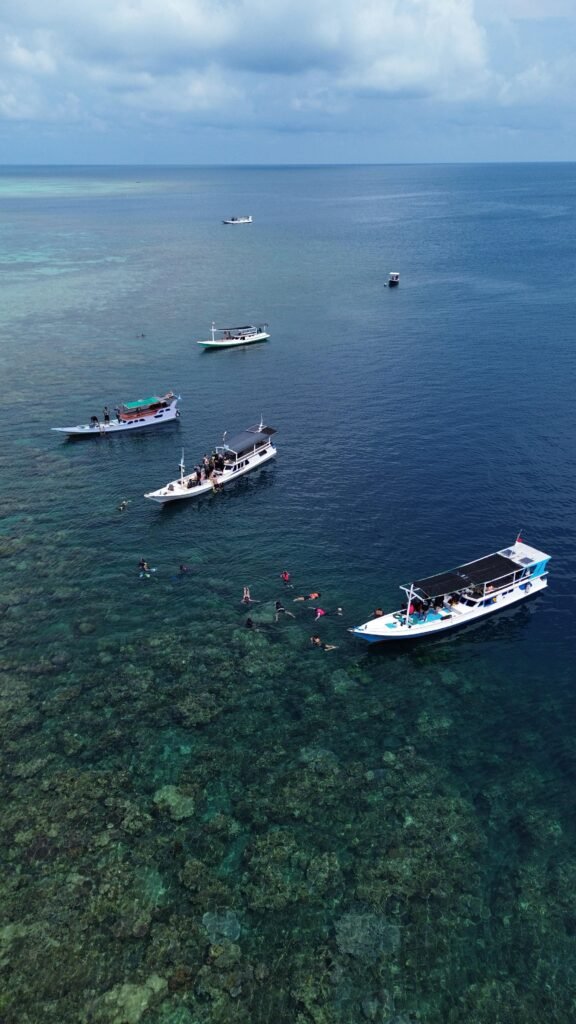 one day trip karimunjawa